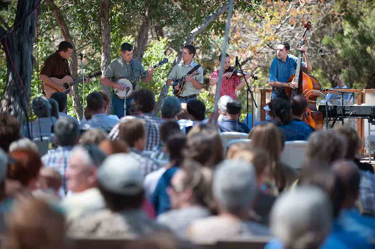 Live music at the sorghum festival