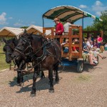 Horse-drawn hay rides