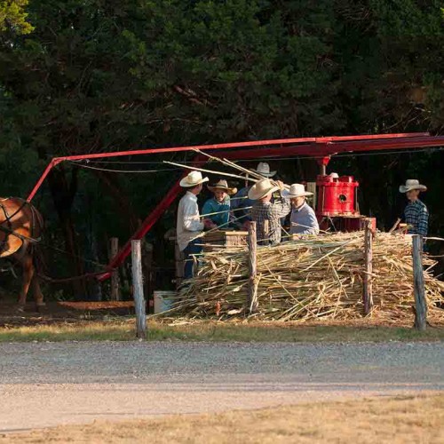 Labor Day Sorghum Festival